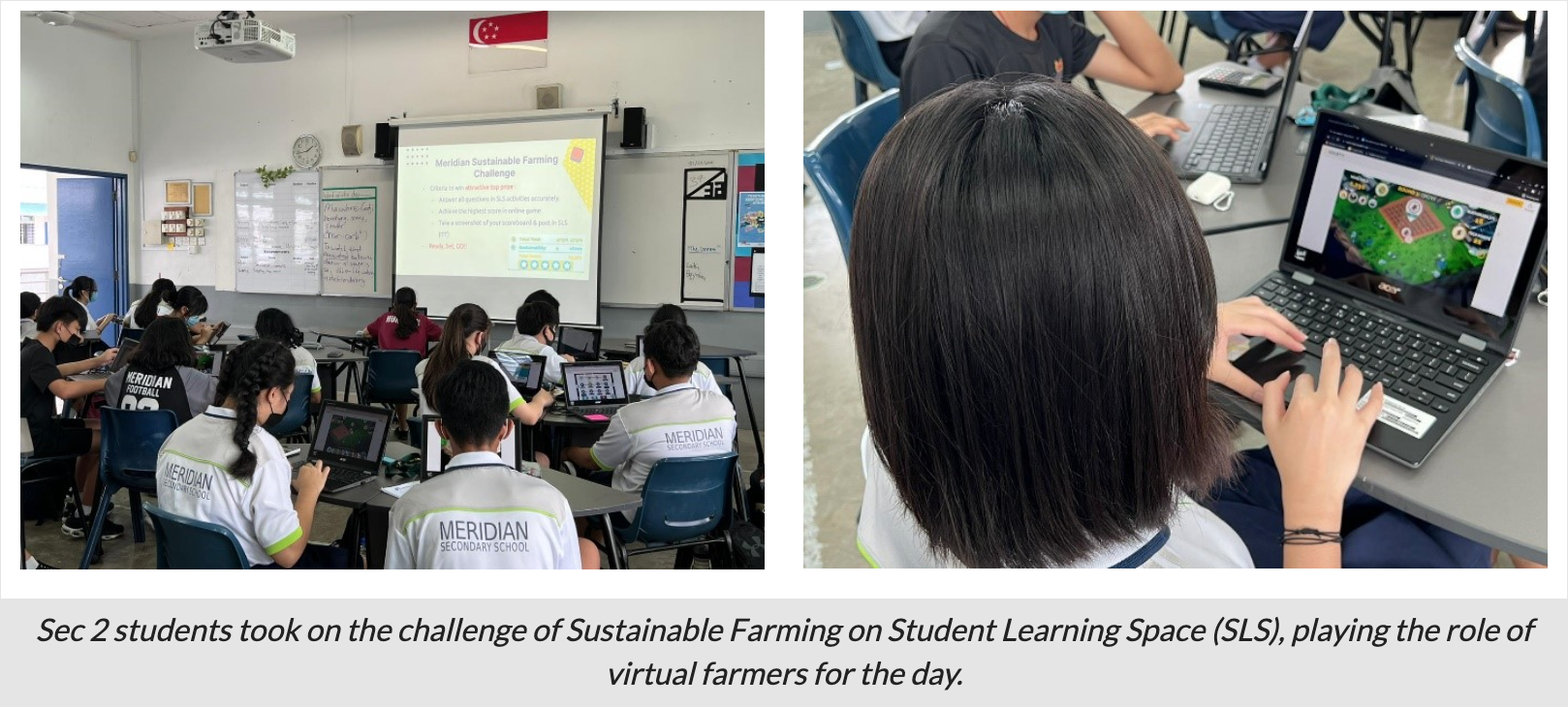 Students in Meridian Secondary School uniforms use laptops in a classroom with a projected farming challenge slideshow.
